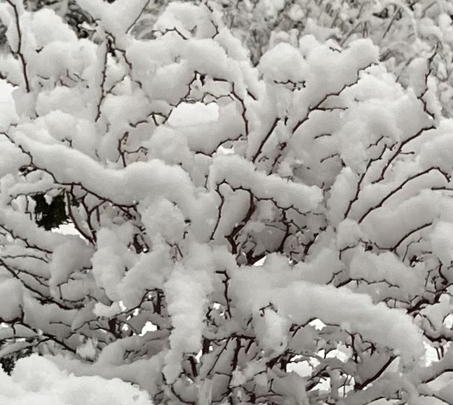 écrire en claudiquant